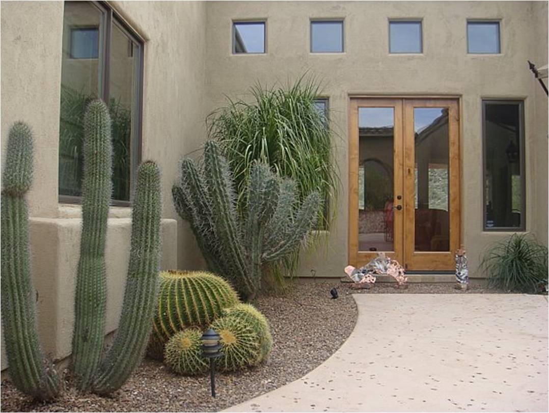 Arctic Cactus Inc. :: Cactus Services in Tucson, AZ and Las Vegas, NV